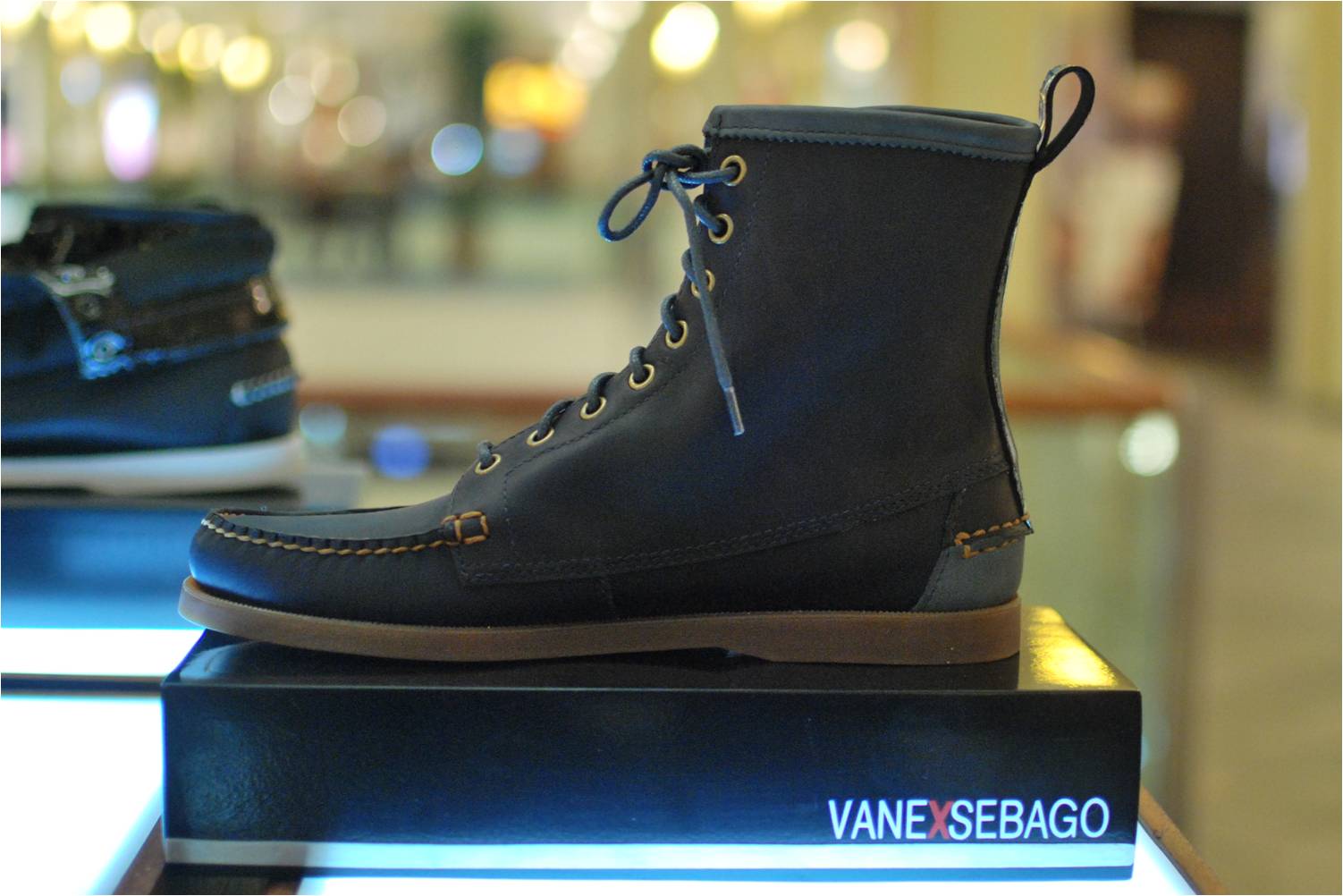 Vane Sebago