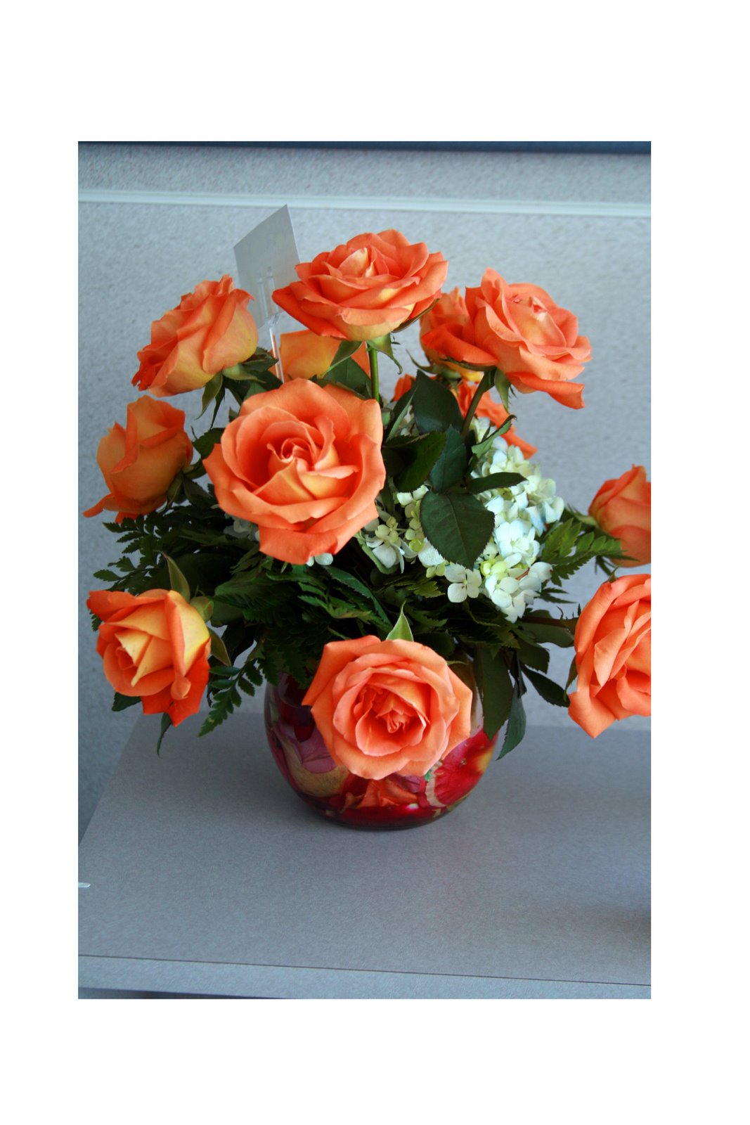 [1+orange+roses+IMG_1481.jpg]