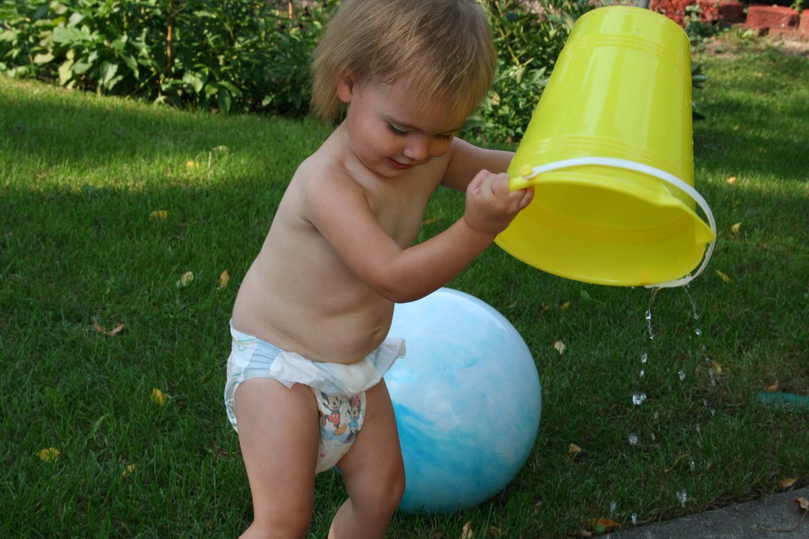 [September+2008+055.jpg]