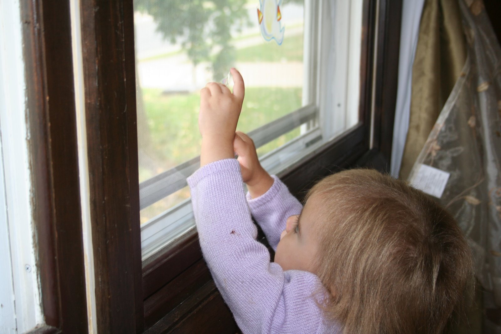 [October+08+Pictures+036.jpg]