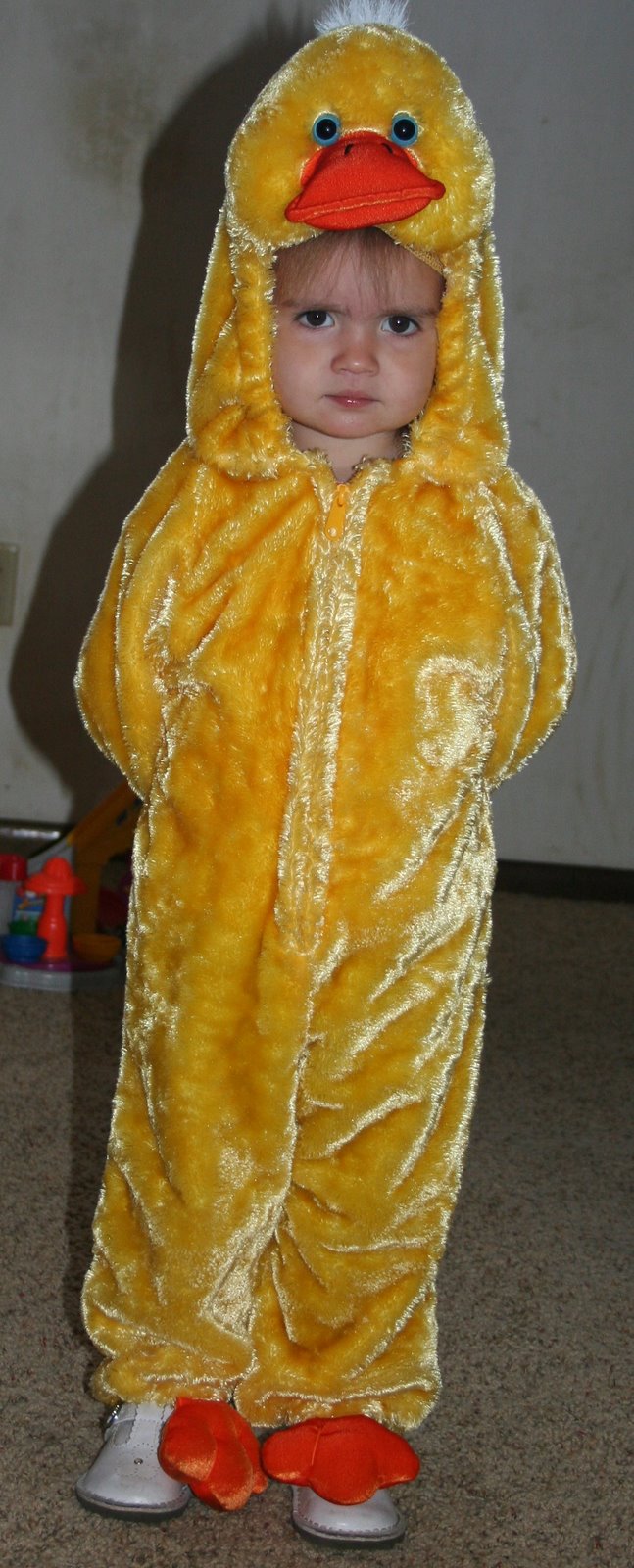 [October+08+Pictures+092.jpg]