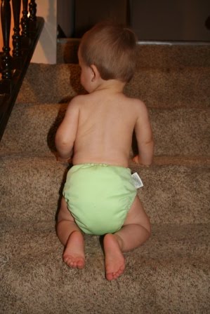 [November+09+040.jpg]