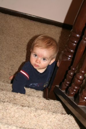 [November+09+026.jpg]