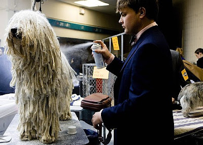 Westminster Kennel Club Dog Show