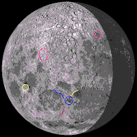 drink specials glabrous or