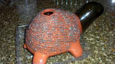 Turtle Chia Pet