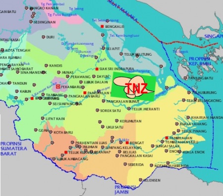 forest is your life: Taman Nasional Zamrud dan Spirit Pelestarian Hutan