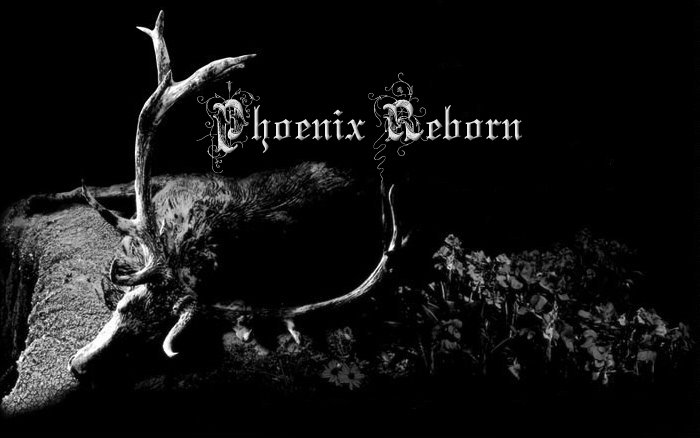 Phoenix Reborn