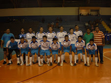 Seleção de futsal de Guia Lopes