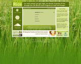 Top 100 Best and Most Useful Websites