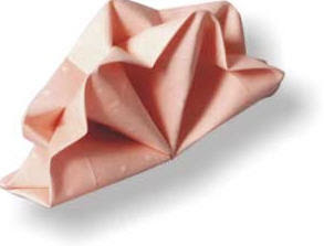 تزيين وتنسيق منديل السفرة %D8%B8%E2%80%A6%D8%B