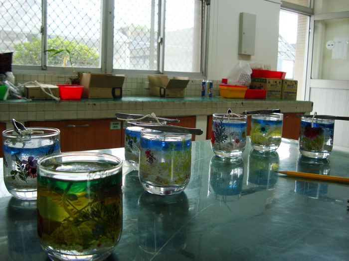 [DSC01550.JPG]