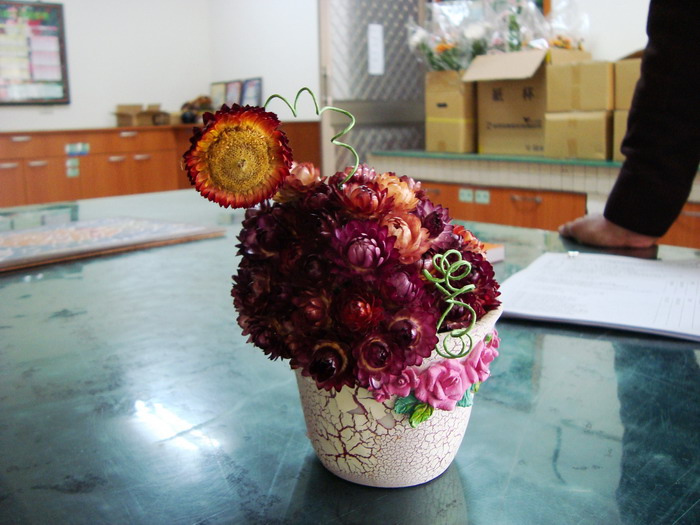 [DSC01524.JPG]