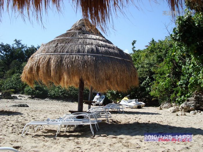 [20100125_276.JPG]