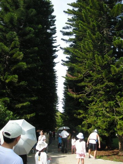 [2008-07-02+456.jpg]