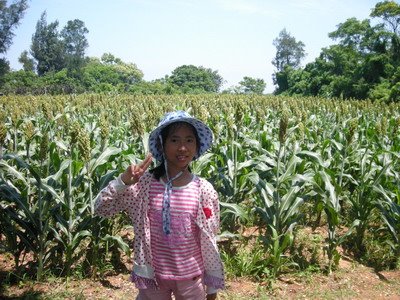 [2008-07-02+348.jpg]