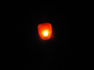 [2009-01-01+188.jpg]