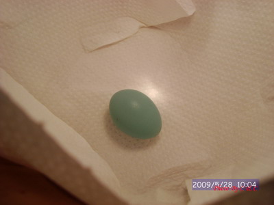 [20090528_126.JPG]