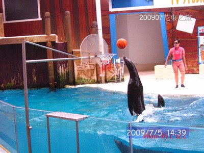 [20090705_550.JPG]