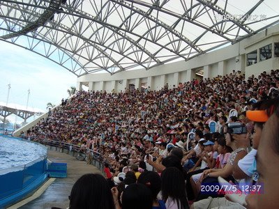 [20090705_161.JPG]