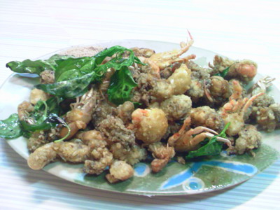 [20090905_524.JPG]