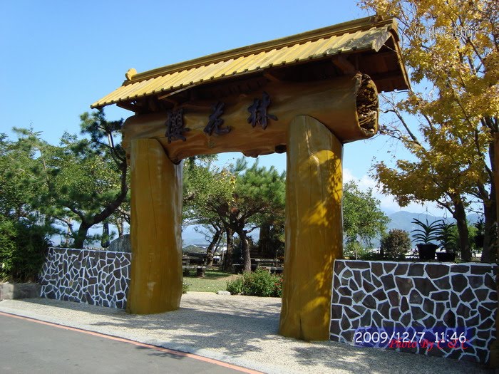 [20091207新社花海節_184.JPG]