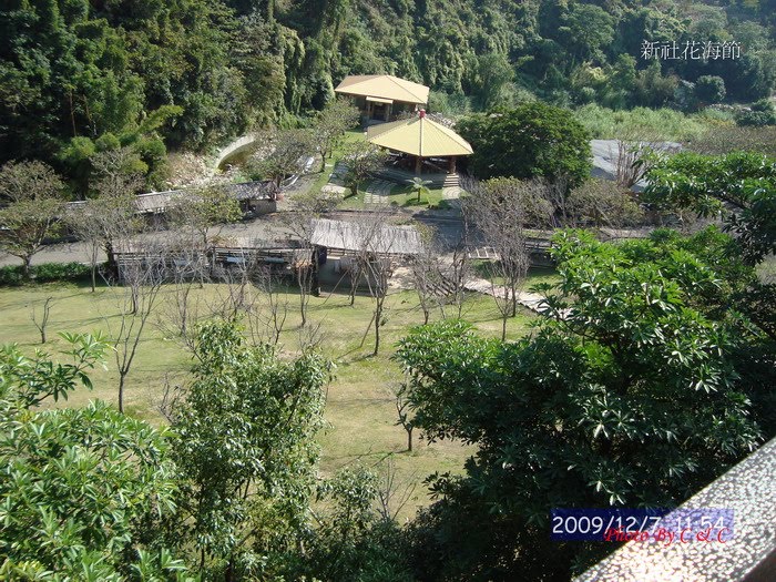 [20091207新社花海節_202.JPG]