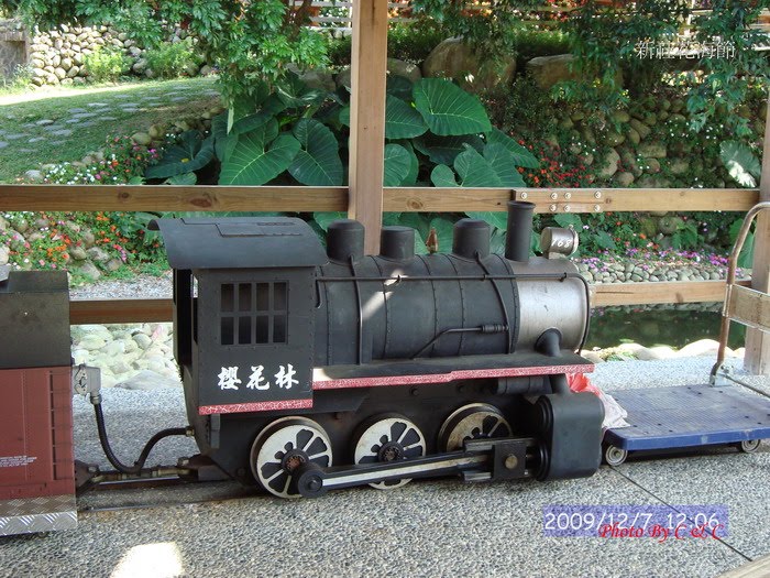 [20091207新社花海節_221.JPG]