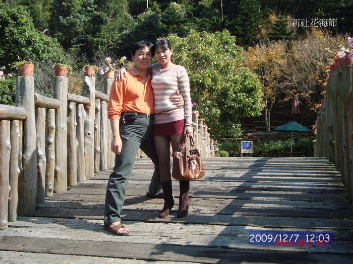 [20091207新社花海節_217.JPG]