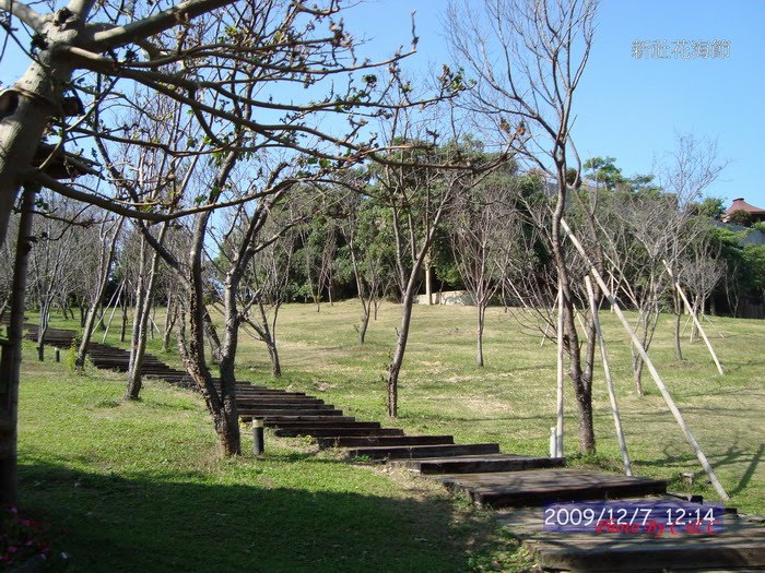 [20091207新社花海節_232.JPG]