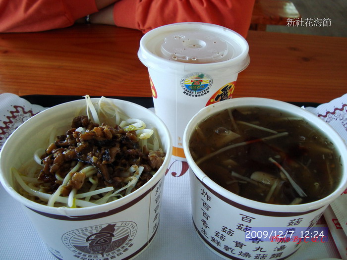 [20091207新社花海節_248.JPG]