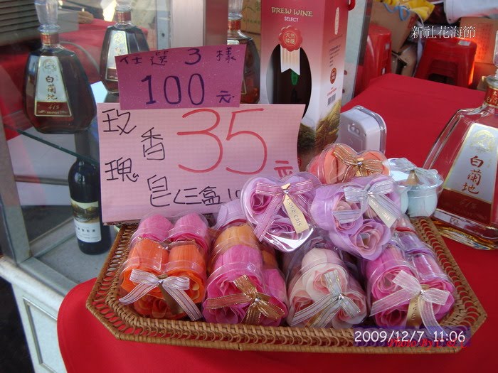 [20091207新社花海節_177.JPG]