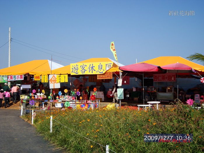 [20091207新社花海節_123.JPG]