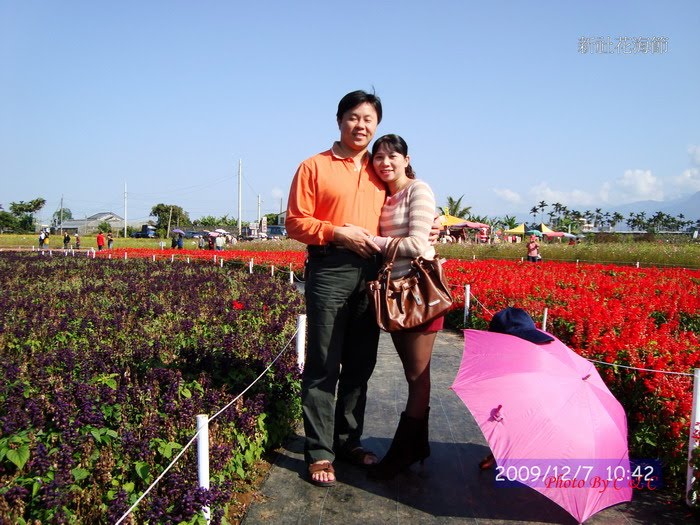 [20091207新社花海節_129.JPG]