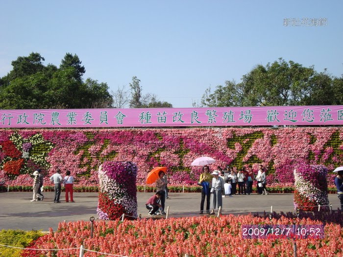 [20091207新社花海節_148.JPG]