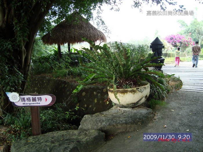 [20091130松田崗農場_171.JPG]
