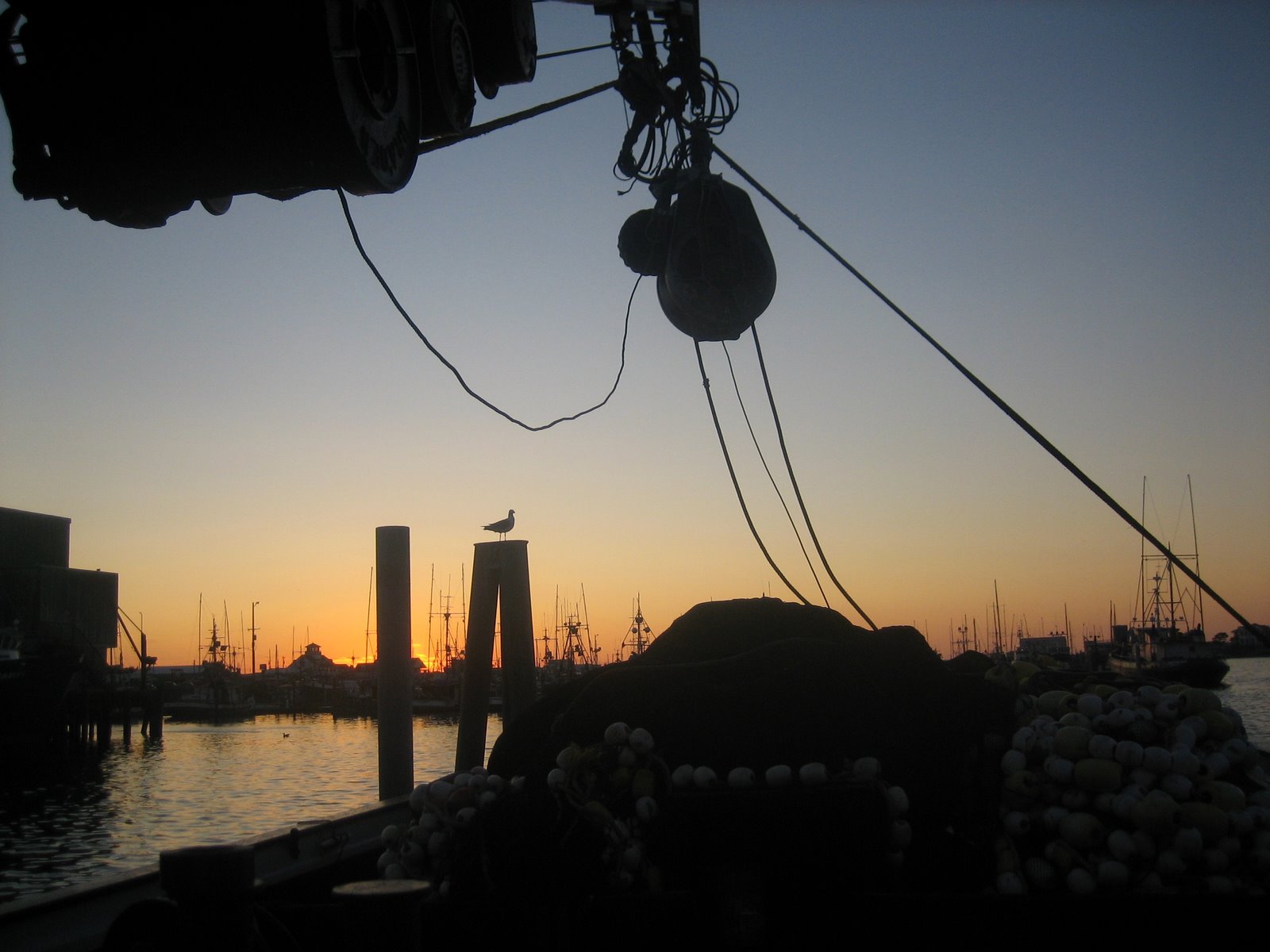 [IMG_2639.JPG]
