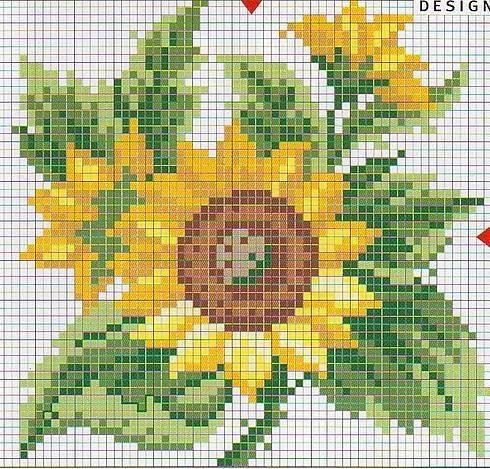 [GIRASSOL+(58).JPG]