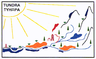 European Tundra