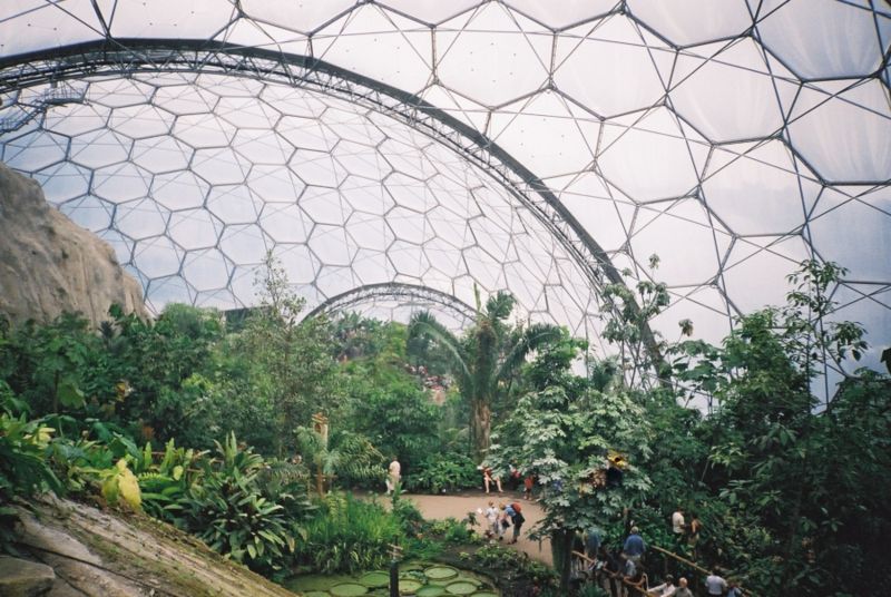[800px-Eden_project_tropical_biome.jpg]