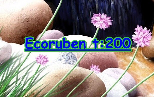 EcoRuben 200