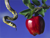 snake+apple.jpg