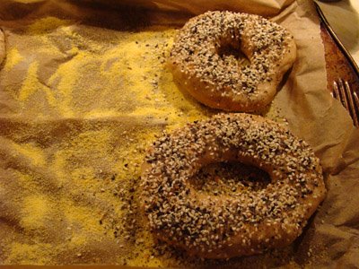 [sprinklingthebagels.jpg]