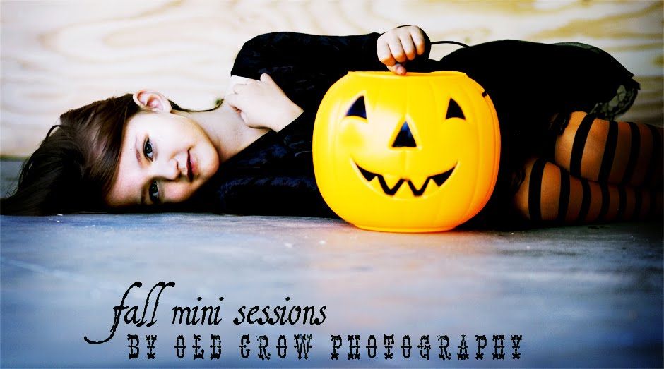 Old Crow Photography Mini Sessions