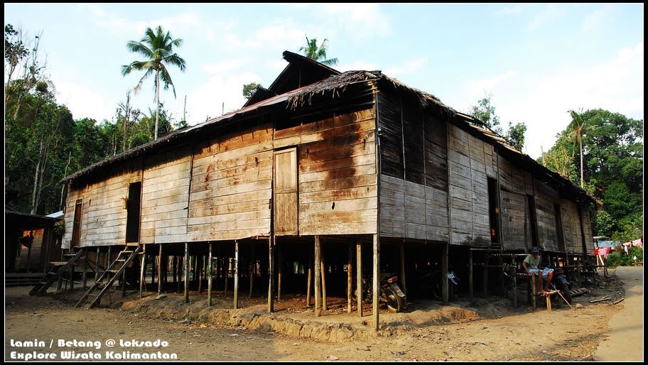 Download this Rumah Lamin Loksdao picture