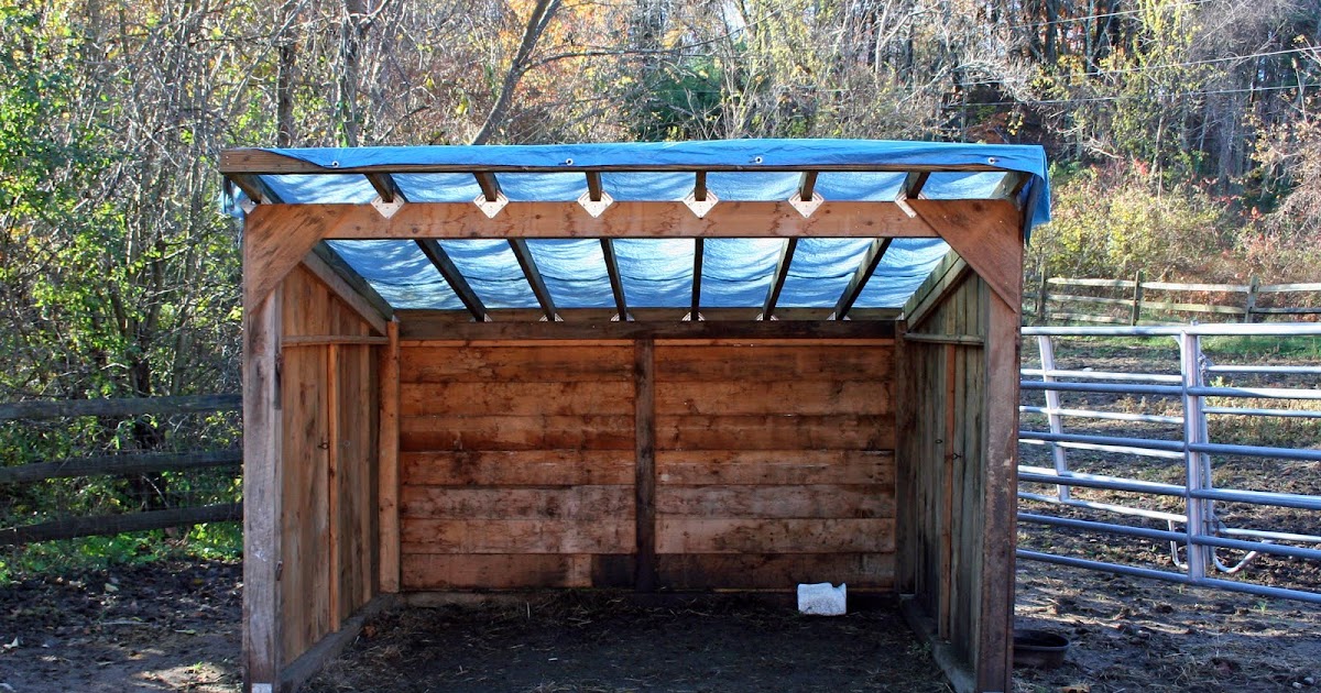 KAYLEE The Foal shed gets a permanent roof