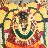Godess Lakshmi - Padmawathi Thayar