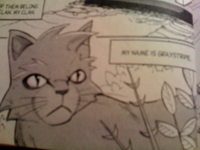 the lost warrior by erin hunter the lost warrior by erin hunter