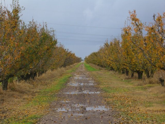 [CIMG2795.JPG]
