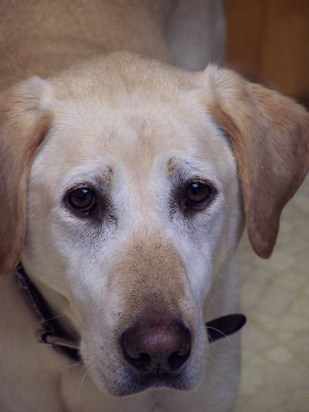 [mynameclifford[1].JPG]